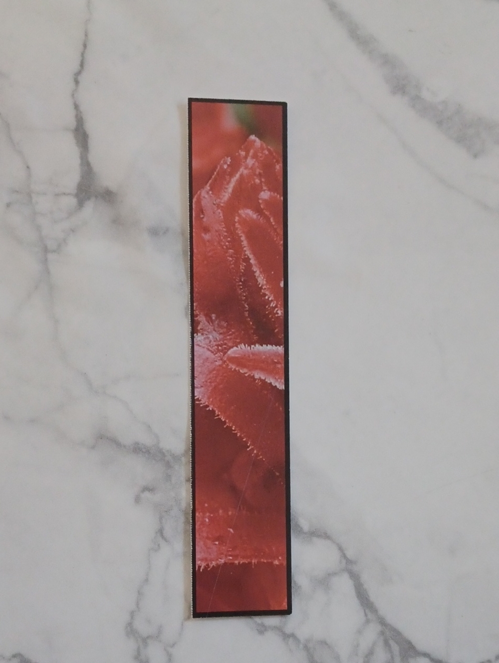 Free Add-on National Geographic Text Bookmark - Snow Plant Image